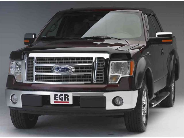 2012 ford f 150 bug shield